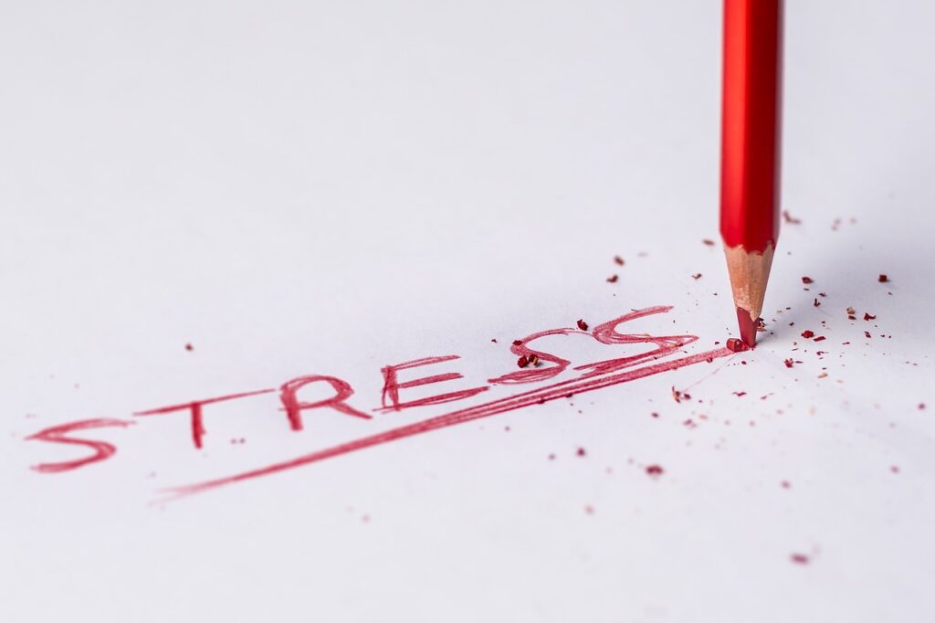 stressverständnis